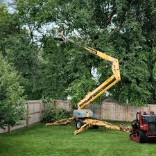 St Peter, MN Tree Services Company